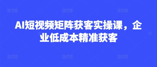AI短视频矩阵获客实操课，企业低成本精准获客-兔子副业网