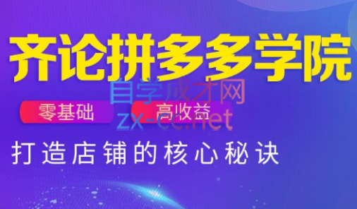 齐论拼多多vip课程-兔子副业网