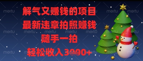 解气又挣钱的项目，最新违章拍照挣钱，随手一拍，轻松收入多张【揭秘】-兔子副业网