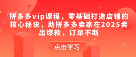 拼多多vip课程，零基础打造店铺的核心秘诀，助拼多多卖家在2025卖出爆款，订单不断-兔子副业网