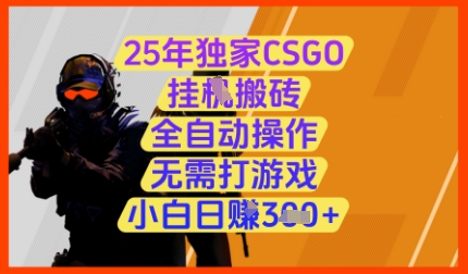 25年独家CSGO挂G搬砖，全自动操作，无需打游戏，小白日入3张+【揭秘】-兔子副业网