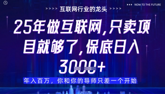 什么！25年你还在找项目做？风口早就变了，卖项目才是稳挣不赔【揭秘】-兔子副业网
