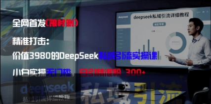 精准打击：价值3980的DeepSeek私域引流实操课，小白实操无门槛，日引精准粉300+-兔子副业网