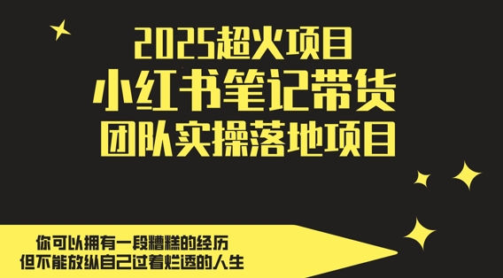 2025超火项目，副业最佳选择，小红书笔记带货团队实操落地项目，，轻松日入5张-兔子副业网