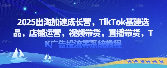 2025出海加速成长营，TikTok基建选品，店铺运营，视频带货，直播带货，TK广告投流等系统教程-兔子副业网