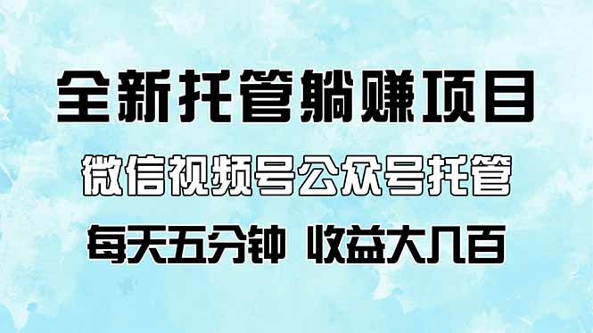 全新托管躺赚项目，微信视频号公众号托管代运营，每天五分钟，收益大几百-兔子副业网