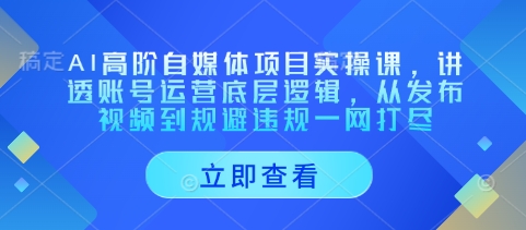 AI高阶自媒体项目实操课，讲透账号运营底层逻辑，从发布视频到规避违规一网打尽-兔子副业网