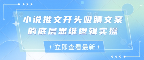 小说推文开头吸睛文案的底层思维逻辑实操-兔子副业网