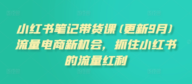 小红书笔记带货课(更新25年4月)流量电商新机会，抓住小红书的流量红利-兔子副业网