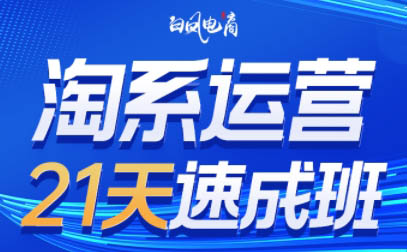 白凤电商·淘系运营21天速成班(更新4月)-兔子副业网