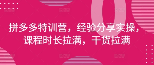 拼多多特训营，经验分享实操，课程时长拉满，干货拉满(更新25年4月)-兔子副业网