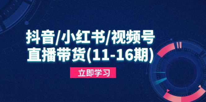 抖音/小红书/视频号/直播带货(11-16期-兔子副业网
