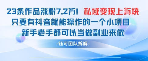 抖音私域项目23条作品涨粉7.2W，私域变现1W-兔子副业网