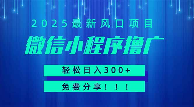 微信小程序撸广，最新风口项目，日入300+ 免费分享 可批量操作 小白可…-兔子副业网