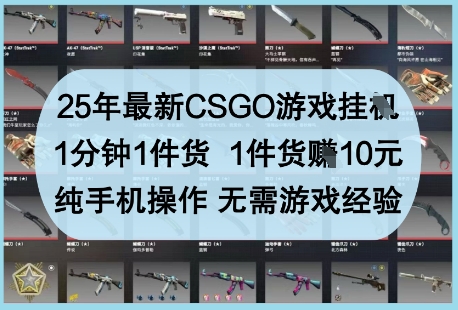 25年最新CSGO游戏挂G，1分钟1件货，1件货挣10元，纯手机操作，无需游戏经验【揭秘】-兔子副业网
