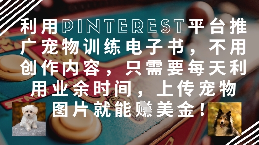 利用Pinterest平台推广宠物训练电子书，不用创作内容，只需要每天利用业余时间，上传宠物图片就能挣美金!-兔子副业网