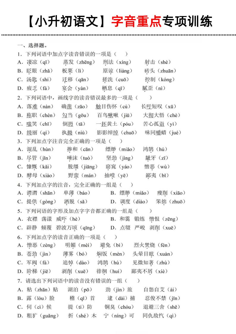 《小升初语文字音重点专项训练》-兔子副业网