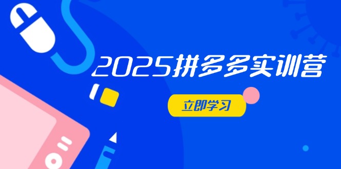 2025拼多多实训营：深度剖析运营关键，助力电商人快速提升-兔子副业网
