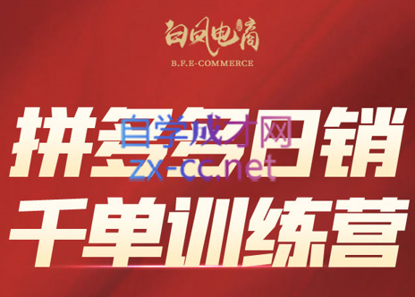 白凤电商·拼多多日销千单训练营(更新4月)-兔子副业网