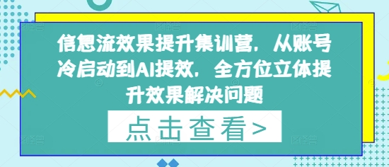 信息流效果提升集训营，从账号冷启动到AI提效，全方位立体提升效果解决问题-兔子副业网