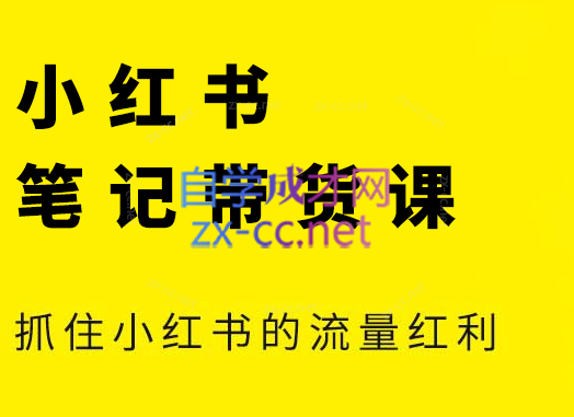 张宾·小红书笔记带货课(更新4月)-兔子副业网