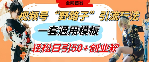 视频号“野路子”玩法，评论区疯狂截流，一套模板单日单号引流50+创业粉-兔子副业网
