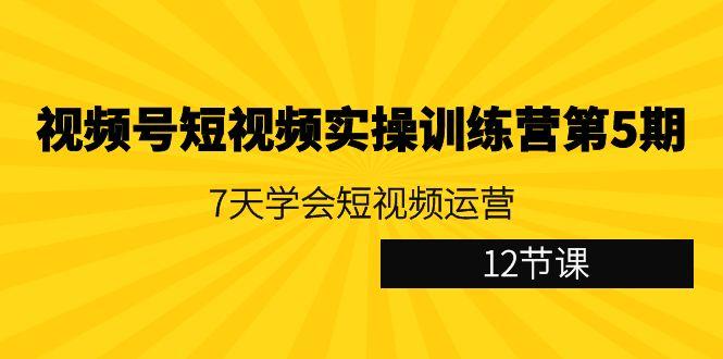 视频号短视频实操训练营第5期：7天学会短视频运营(12节课)-兔子副业网