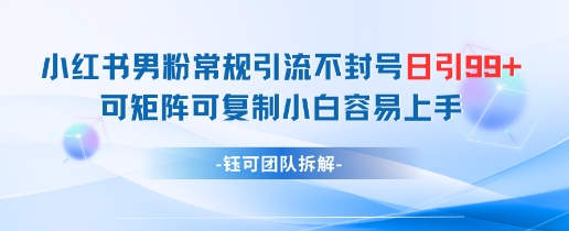 小红书男粉常规引流不封号日引99+变现简单 可矩阵可复制小白容易上手-兔子副业网