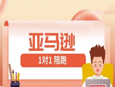 亚马逊1对1陪跑课(FBA/FBM精铺)跨境亚马逊教程-兔子副业网