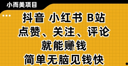 小而美的项目，抖音小红书B站视频点赞、关注、评论就能挣钱，简单无脑立见收益，妥妥的零撸项目【揭秘】-兔子副业网