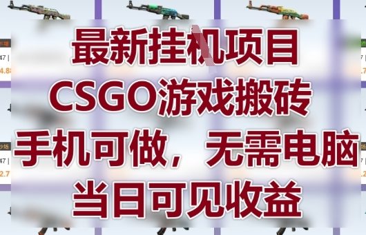 最新挂G项目，CSGO游戏搬砖，手机可做，无需电脑，当日见收益【揭秘】-兔子副业网
